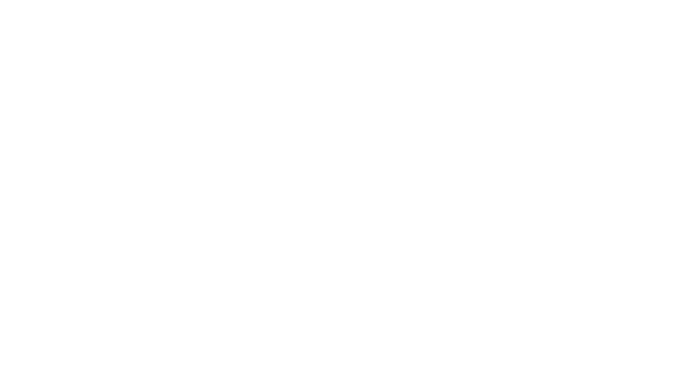 Fluturolire Logo